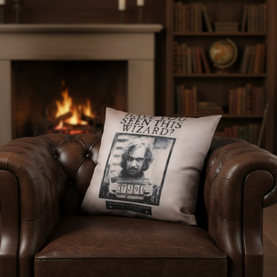 Harry Potter Wizarding World - Harry Potter Yastık - Have You Seen This Wizard - Orijinal Lisanslı Ürün | Sihir Dükkanı
