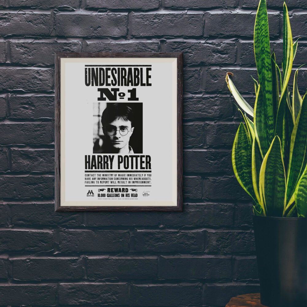 Harry Potter Aranıyor Posteri 30×42 cm A3 Lisanslı Kuşe Kağıt HD Baskı