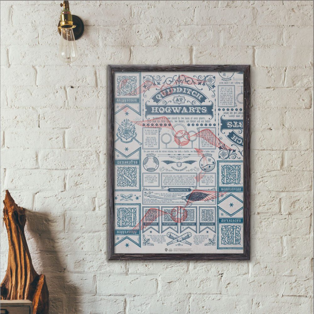 Quidditch Posteri 30×42 cm A3 Lisanslı Kuşe Kağıt HD Baskı
