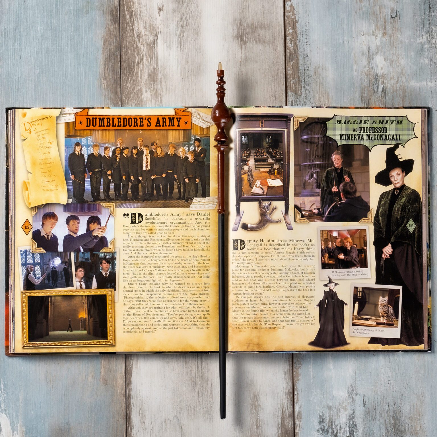 DSC07163 Sihir Dükkanı - Tüm Harry Potter Ürünleri