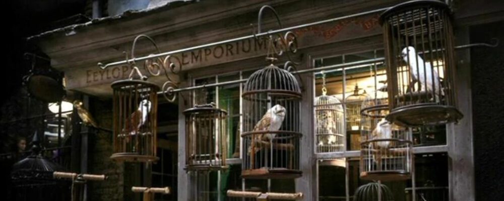 Eeylop Bin Bir Cesit Baykus Dukkani Sihir Dükkanı - Tüm Harry Potter Ürünleri