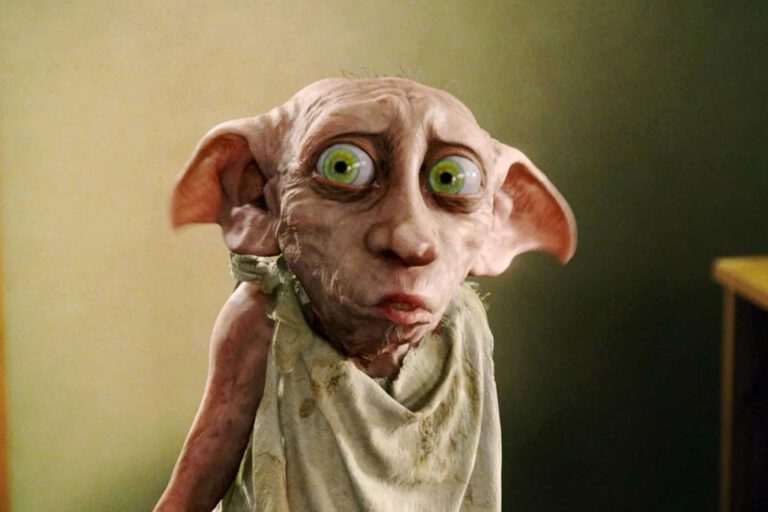 Harry Potter’ın Sadık Kurtarıcısı Ev Cini Dobby 2 Sihir Dükkanı