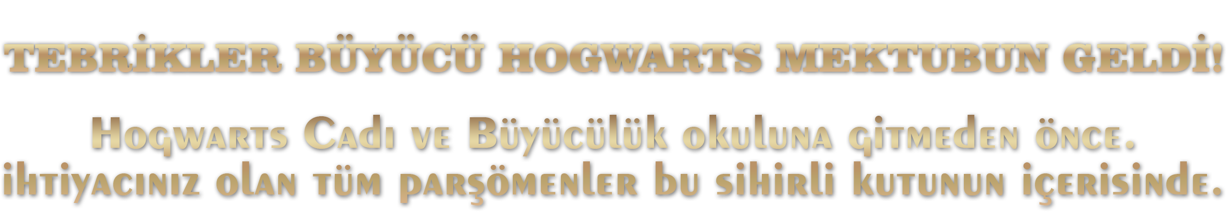 Harry Potter Asa Isme Ozel Kutulu