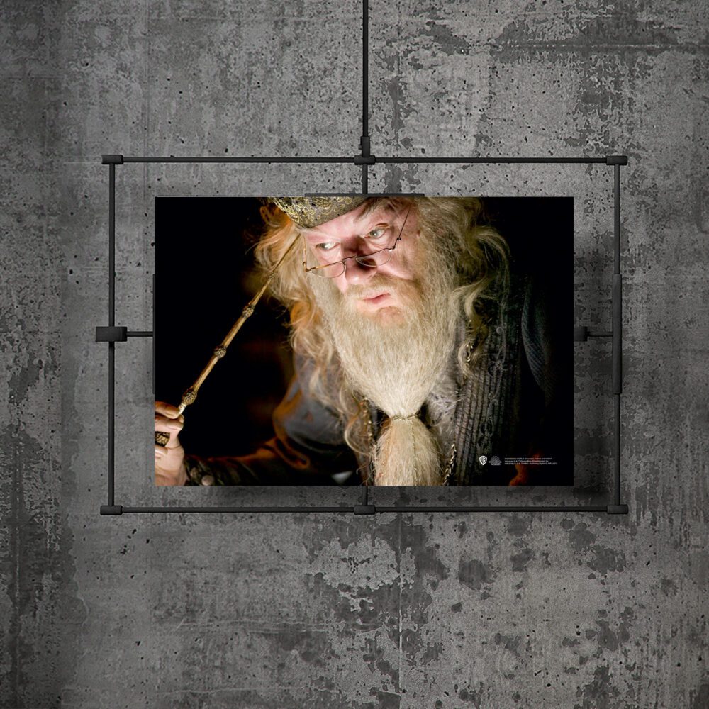 Ateş Kadehi Dumbledore Posteri 30×42 cm A3 Lisanslı Kuşe Kağıt HD Baskı