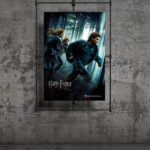 Harry ve Hermione Posteri 50×70 cm Lisanslı Kuşe Kağıt HD Baskı