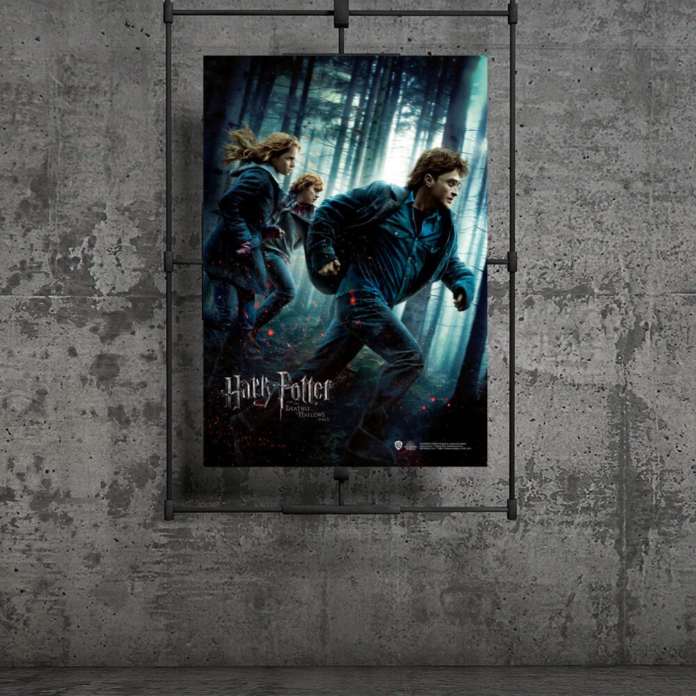 Harry ve Hermione Posteri 50×70 cm Lisanslı Kuşe Kağıt HD Baskı