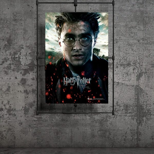 Harry Potter Posteri 30×42 cm A3 Lisanslı Kuşe Kağıt HD Baskı