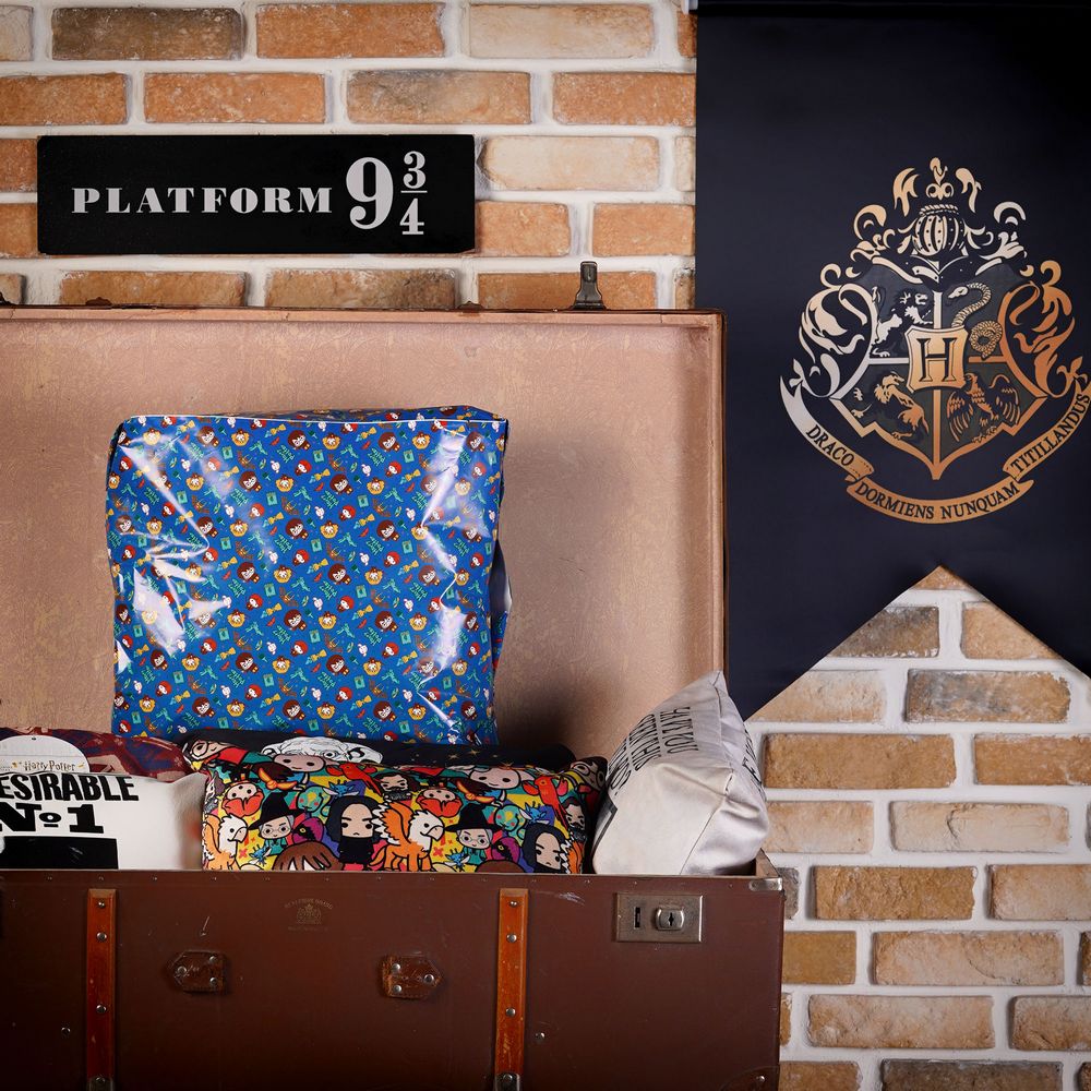 DSC05704 Sihir Dükkanı - Tüm Harry Potter Ürünleri