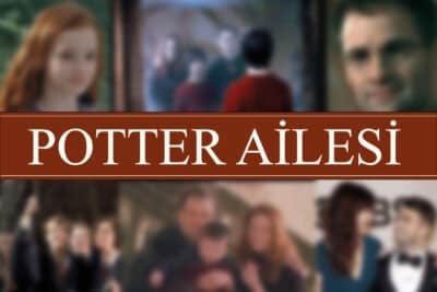 Potter Ailesi