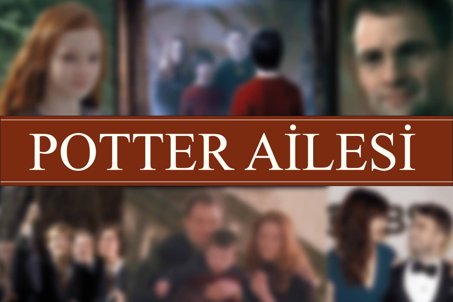 Potter Ailesi