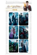 Wizarding World – 2′ li Sticker