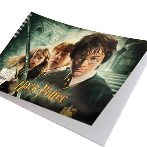 resim defteri Sihir Dükkanı - Tüm Harry Potter Ürünleri